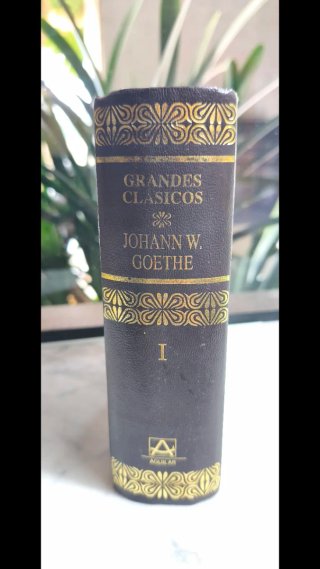 Libro grandes clásicos