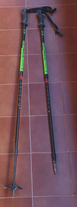 Bastones de Senderismo Quechua Forclaz 300