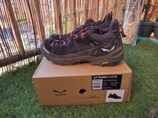 Zapatillas Trekking Salewa Alp Trainer 2 GTX