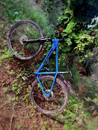 Bicicleta Massi Fura 29 Monoplato Talla M