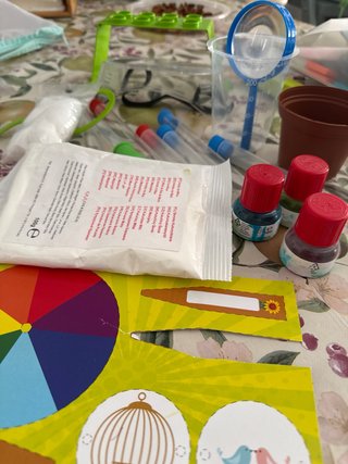 Kit de Laboratorio Infantil
