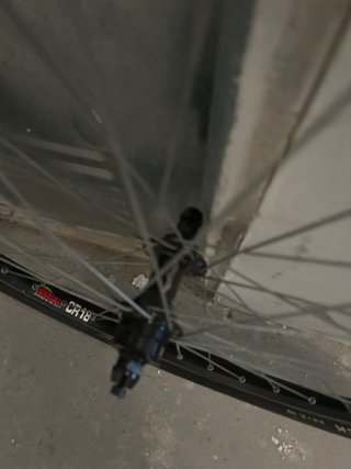 Ruedas BMX Race 24 Bombshell 38 radios
