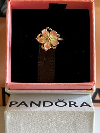 Anillo Pandora Flor de Cerezo