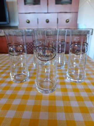 Pack de 5 Vasos de Cerveza Brauhaus