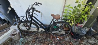 Bicicleta Negra Paseo