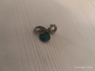Charm cigüeña