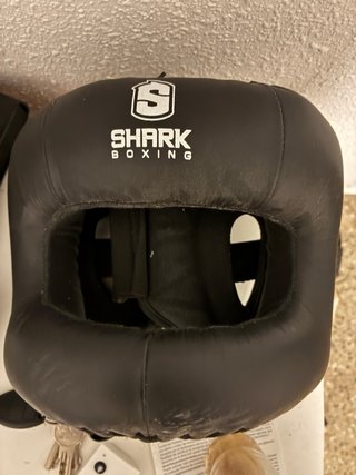 Casco de boxeo Shark