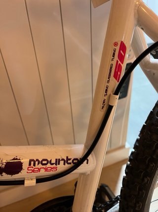 Bicicleta de 26 pulgadas