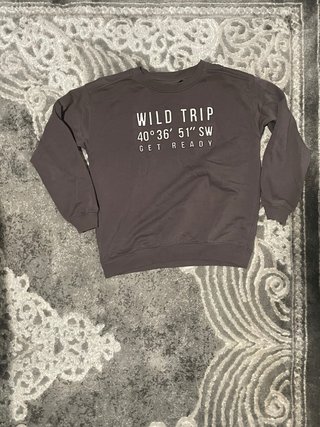 Sudadera Wild Trip Niño Gris