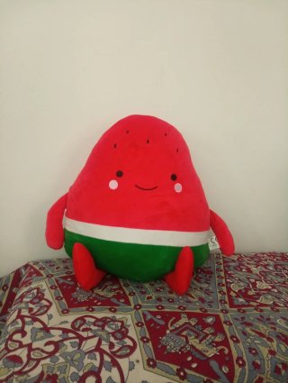 Cuscino a forma di anguria