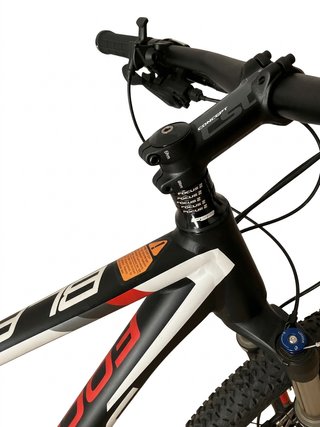Bicicleta MTB Focus 29" Talla L