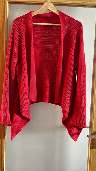 Chaqueta roja y camiseta perro pirata