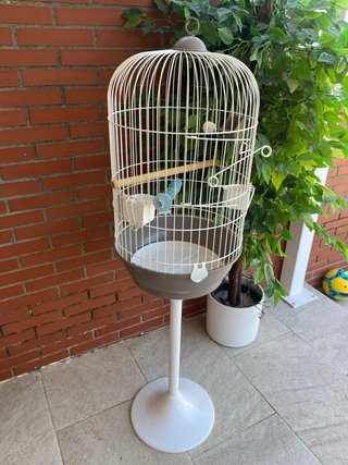 Jaula para ninfas y agapornis