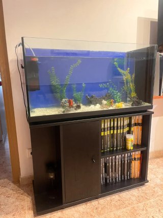 Acuario con Mueble Negro
