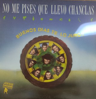 Vinilo No me pises que llevo chanclas