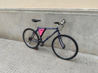 Bicicleta Specialized Stumpjumper revisada
