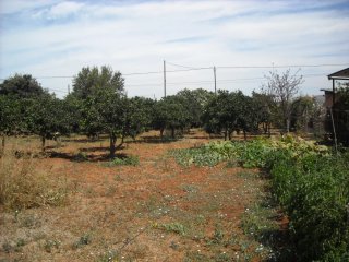 Parcela