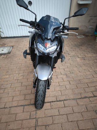 Kawasaki Z900 (2023)