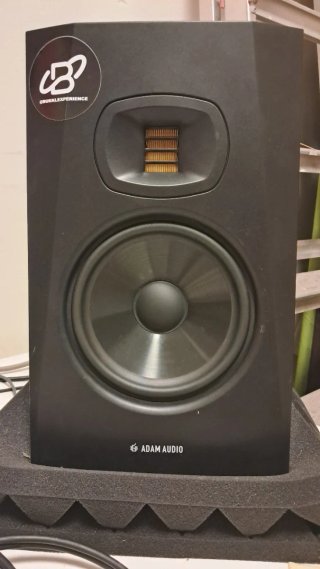 Altavoces de estudio ADAM AUDIO negros