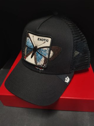 Gorra Goorin Bros Exotic Talla única