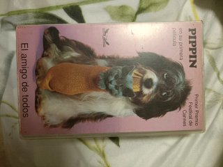 VHS PIPPIN L'amico di tutti