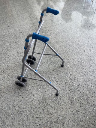 Caminador adulto