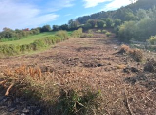 Finca en Quintes de 3947m²