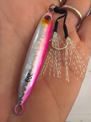 Señuelo de Pesca Spinning 20g