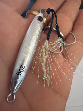 Señuelo de Pesca Spinning 20g