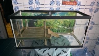 Acuario con plataforma y rampa