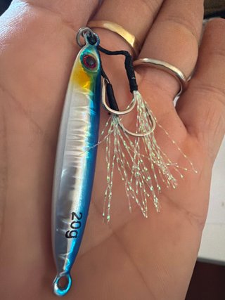 Señuelo de Pesca Spinning 20g