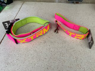 Collar y Correa Perro XTRM Rosa y Amarillo