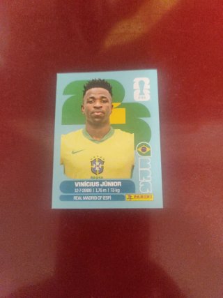 Cromo Panini Vinícius Júnior - Mundial 2022