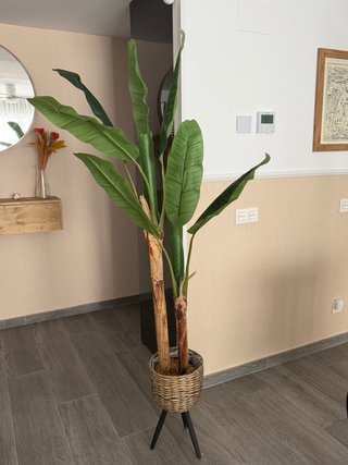 Planta Platanera Artificial Blaine