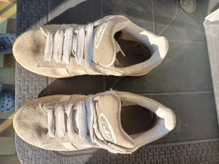 Adidas Campus beige taglia 40