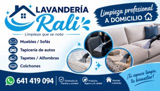 Lavado de tapicería de muebles autos tapetes