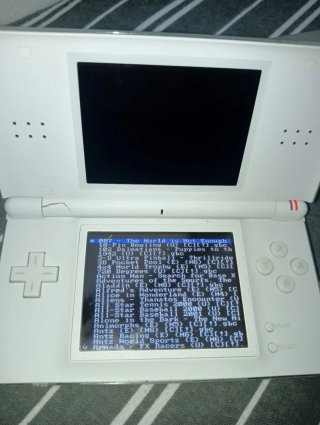 Nintendo DS Lite Bianca
