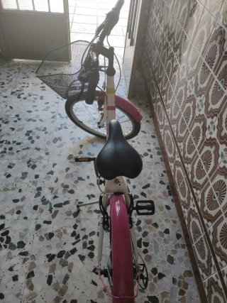 Bicicleta con Cesta