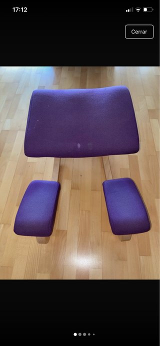 Silla Ergonómica Varier Tapizada