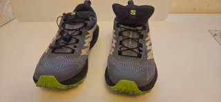Zapatillas Salomon Sense Ride 5 GTX