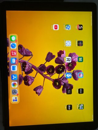iPad Pro 12.9 (2ª Gen) 64GB con 4G scheda SIM