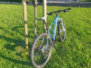 Bicicleta de Montaña CUBE REACTION PRO 29".Al.