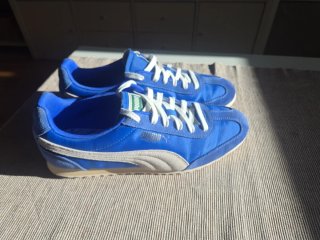 Zapatillas Puma Arizona T43