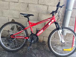 Bicicleta de Montaña Freerider 24
