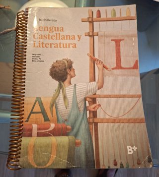 Lengua castellana y literatura, 1 Bachillerato, B+