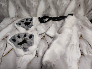 Kit Disfraz de Gato Blanco