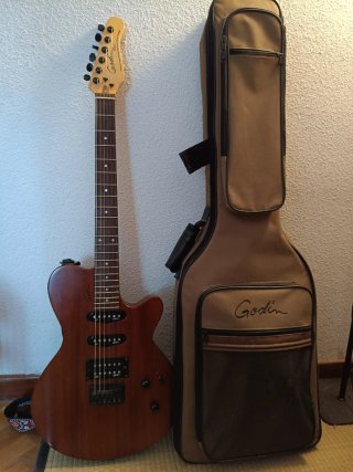 Guitarra Eléctrica Godin con Funda