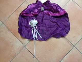 Mantello e bacchetta Frozen