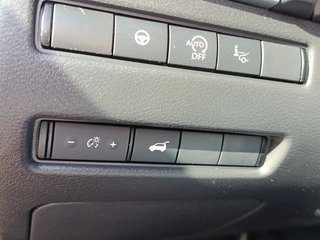 NISSAN QASHQAI DIGT 116kW 158CV mHEV Xtronic Tekna