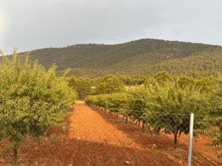 Parcela